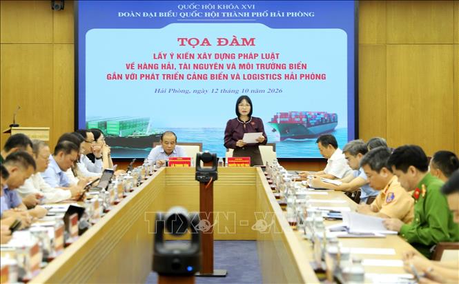 Bà Nguyễn Thị Việt Nga, Phó Trưởng đoàn Đại biểu Quốc hội chuyên trách thành phố Hải Phòng, phát biểu. Ảnh: Minh Thu - TTXVN