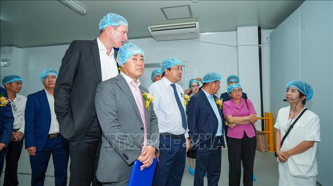Các đại biểu tìm hiểu quy trình vận hành tại Nhà máy ấp vịt Orvia Tây Ninh, chú trọng kiểm soát điều kiện sản xuất và bảo đảm an toàn sinh học trong chăn nuôi. Ảnh: Minh Phú – TTXVN