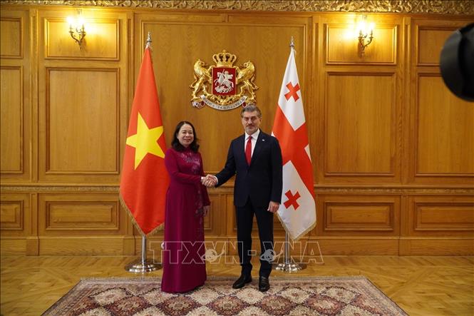 Tổng thống Gruzia Mikheil Kavelashvil tiếp Phó Chủ tịch nước Võ Thị Ánh Xuân đến chào xã giao. Ảnh: Tâm Hằng, phóng viên TTXVN tại Đông Âu