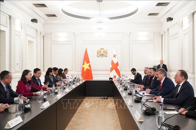Tổng thống Gruzia Mikheil Kavelashvil tiếp Phó Chủ tịch nước Võ Thị Ánh Xuân đến chào xã giao. Ảnh: Tâm Hằng, phóng viên TTXVN tại Đông Âu
