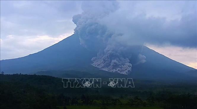 Tro bụi phun lên từ núi lửa Semeru ở Lumajang, Đông Java, Indonesia. Ảnh: THX/TTXVN phát