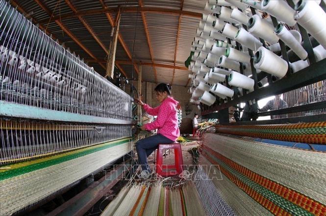 Hội Nông dân tỉnh Phú Yên chú trọng đào tạo nghề, duy trì, phát triển nghề dệt chiếu truyền thống để tăng thu nhập, tạo việc làm cho nông dân theo tiêu chí xây dựng Nông thôn mới ở xã An Cư, huyện Tuy An (2014). Ảnh: Đình Huệ - TTXVN