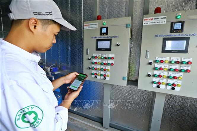 Điện thoại thông minh được cài đặt ứng dụng điều khiển hệ thống bơm tưới cho nhà dưa lưới được kỹ sư của Delco Farm (xã Nguyệt Đức, huyện Thuận Thành, Bắc Ninh) đảm nhiệm (2019). Ảnh: Minh Quyết - TTXVN