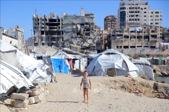 Em nhỏ tại trại tị nạn ở Gaza ngày 7/10/2026. Ảnh: THX/TTXVN phát