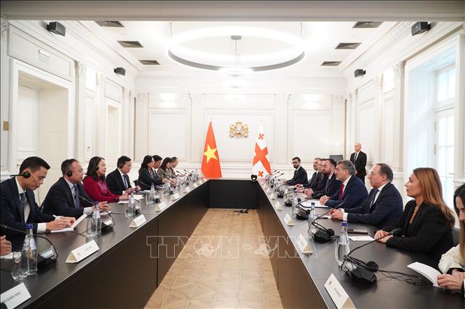 Phó Chủ tịch nước Võ Thị Ánh Xuân chào xã giao Tổng thống Mikheil Kavelashvili. Ảnh: Tâm Hằng, phóng viên TTXVN tại Đông Âu