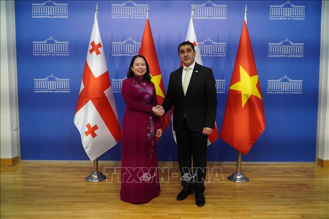 Phó Chủ tịch nước Võ Thị Ánh Xuân và Chủ tịch Quốc hội Gruzia Shalva Papuashvili. Ảnh: Tâm Hằng - PV TTXVN tại Đông Âu