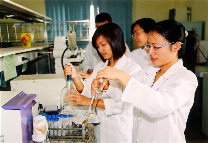 Sinh viên Viện Công nghệ sinh học và công nghệ thực phẩm (Trường đại học Bách khoa Hà Nội) chuẩn bị môi trường thí nghiệm nuôi cấy vi sinh vật (2008). Ảnh: Minh Đông - TTXVN