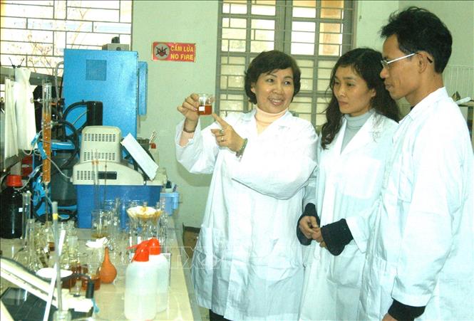 Giáo sư, Tiến sỹ Đặng Thị Kim Chi, Phó Viện trưởng Viện Khoa học và Công nghệ Môi trường, Đại học Bách khoa Hà Nội, hướng dẫn sinh viên thực tập tại phòng thí nghiệm của trường. Năm 2009, bà được trao Giải thưởng Kovalevskaia vì những đóng góp trong nghiên cứu khoa học. Ảnh: Ngô Lịch – TTXVN