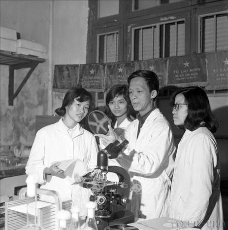 Giảng viên Nguyễn Lân Dũng, Khoa Sinh vật học (trường Đại học Tổng hợp), chiến sĩ thi đua 12 năm liền, hướng dẫn sinh viên phân lập và lựa chọn vi sinh vật có hoạt tính cao từ tự nhiên. Ảnh: Ngọc Quán - TTXVN