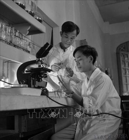 Trong phong trào thi đua 