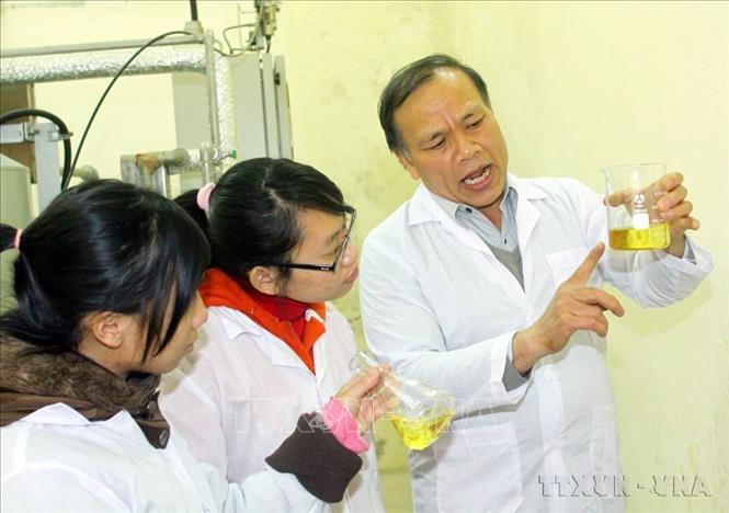 Hướng dẫn sinh viên hệ cử nhân tài năng nghiên cứu công trình sản xuất dầu Biodiesel từ mỡ cá phế thải, sử dụng cho các tầu hoạt động trên Vịnh Hạ Long nhằm giảm thiểu ô nhiễm môi trường tại Khoa Hóa học, Trường Đại học Khoa học Tự nhiên (Đại học Quốc gia Hà Nội). Ảnh: Bích Ngọc - TTXVN