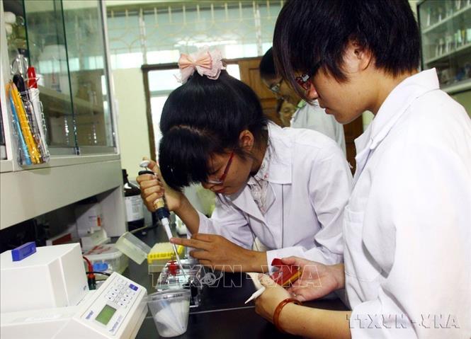 Sinh viên Khoa Sinh học thực hành tại phòng thí nghiệm của Trường Đại học Khoa học tự nhiên, Đại học Quốc gia Hà Nội (2011). Ảnh: Bích Ngọc - TTXVN