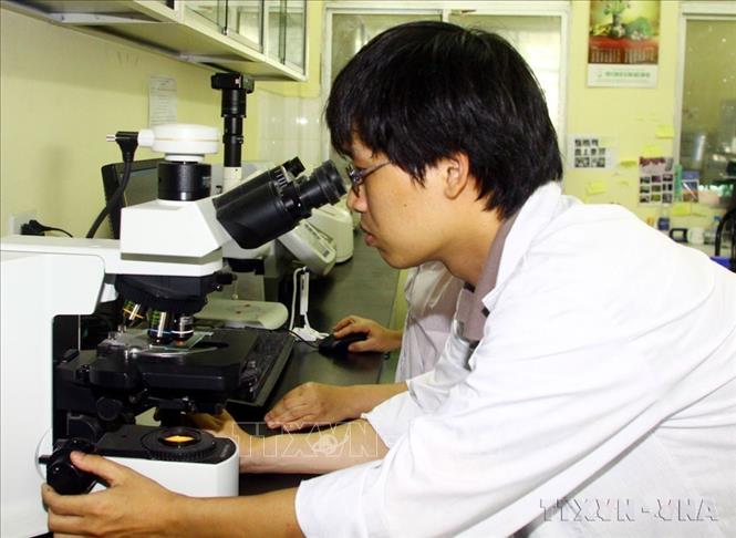 Thực hiện nghiên cứu tại phòng thí nghiệm của Viện Vi sinh vật và Công nghệ Sinh học (Đại học quốc gia Hà Nội), một trong những đơn vị hàng đầu về Công nghệ Sinh học và Vi sinh vật của Việt Nam. Ảnh: Bích Ngọc - TTXVN