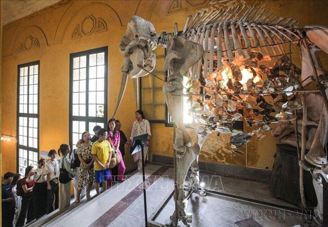 Triển lãm đa giác quan 