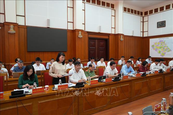Đại biểu phát biểu ý kiến tại buổi làm việc. Ảnh: Anh Dũng – TTXVN