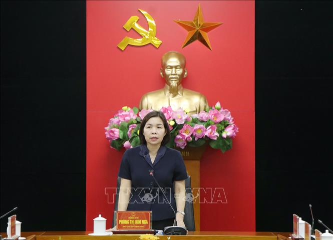 Phó Chủ tịch UBND tỉnh Phú Thọ Phùng Thị Kim Nga phát biểu tại hội nghị. Ảnh: Thu Hương - TTXVN