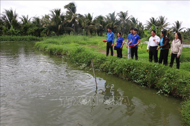 Từ giảng đường đại học, nhà máy, doanh nghiệp đến những cánh đồng, vùng nuôi thủy sản, khu dân cư và địa bàn còn nhiều khó khăn tại thành phố Cần Thơ, luôn có sức trẻ, tri thức và tinh thần dấn thân. Ảnh: Duy Khương – TTXVN