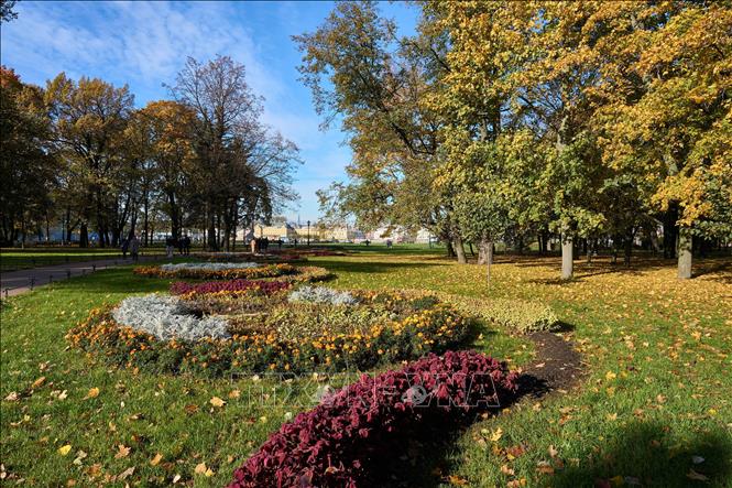 Cảnh đẹp mùa thu tại St. Petersburg, Nga, ngày 14/10/2026. Ảnh: THX/TTXVN phát