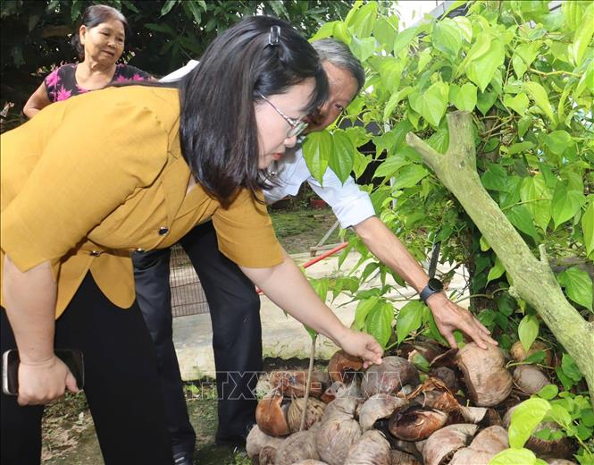 Bà Nguyễn Hoàng Uyên, Phó Giám đốc Sở Y tế Tây Ninh kiểm tra công tác phòng, chống dịch bệnh tại hộ dân. Ảnh: Thanh Bình -TTXVN