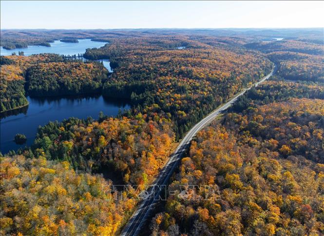 Cảnh đẹp mùa thu ở Ontario, Canada. Ảnh: THX/TTXVN phát