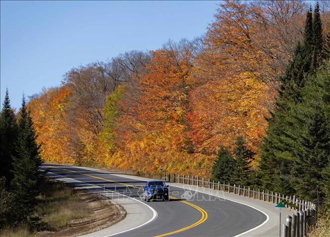 Cảnh đẹp mùa thu ở Ontario, Canada. Ảnh: THX/TTXVN phát
