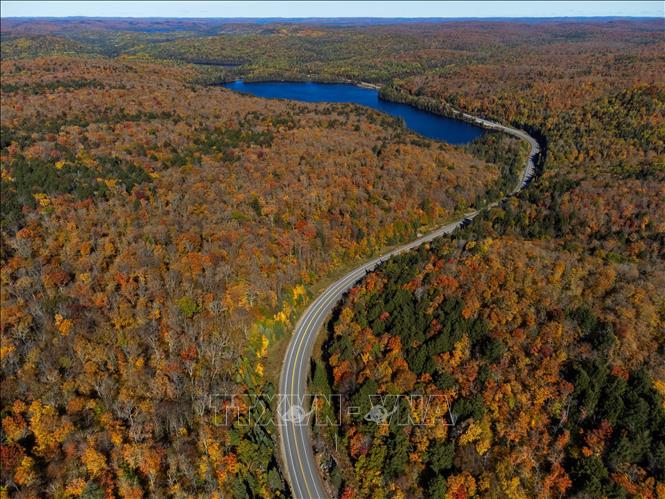 Cảnh đẹp mùa thu ở Ontario, Canada. Ảnh: THX/TTXVN phát