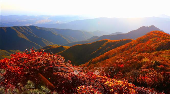 Cảnh đẹp mùa thu ở Inje, Hàn Quốc. Ảnh: YONHAP/TTXVN phát
