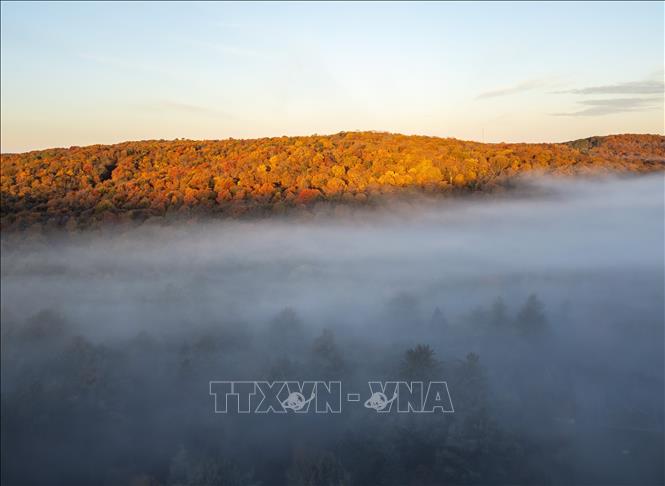 Cảnh đẹp mùa thu ở Ontario, Canada. Ảnh: THX/TTXVN phát