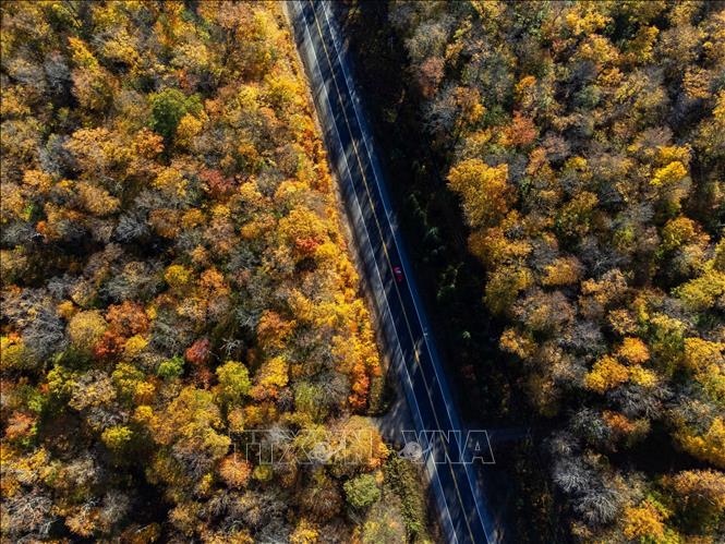 Cảnh đẹp mùa thu ở Ontario, Canada. Ảnh: THX/TTXVN phát