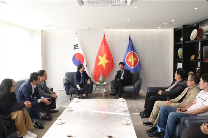 Đoàn Giáo sư và đại diện các trường đại học Việt Nam tham dự ICIT 2026 do GS.TS. Trần Xuân Trường dẫn đầu, đến thăm và làm việc với Đại sứ Vũ Hồ tại Đại sứ quán Việt Nam ở Hàn Quốc. Ảnh: Trường Giang - PV TTXVN tại Hàn Quốc