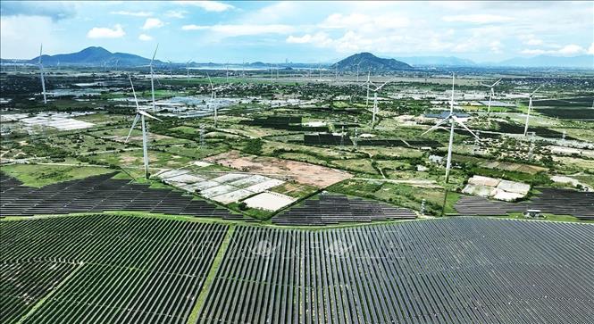 Cánh đồng điện mặt trời và điện gió của Công ty TNHH Điện Mặt Trời Trung Nam Thuận Nam ở xã Thuận Nam, tỉnh Khánh Hoà. Ảnh: Vũ Sinh – TTXVN