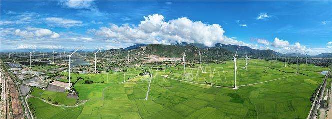 Cánh đồng điện gió của Công ty TNHH Điện Mặt Trời Trung Nam Thuận Nam ở xã Thuận Nam, tỉnh Khánh Hoà. Ảnh: Vũ Sinh – TTXVN