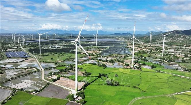 Cánh đồng điện gió của Công ty TNHH Điện Mặt Trời Trung Nam Thuận Nam ở xã Thuận Nam, tỉnh Khánh Hoà. Ảnh: Vũ Sinh – TTXVN