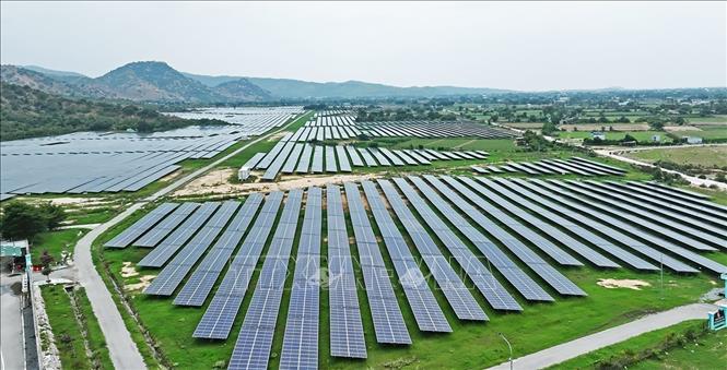 Cánh đồng điện mặt trời của Công ty Cổ phần Điện mặt trời Licogi 16, xã Vĩnh Hải, tỉnh Khánh Hoà. Ảnh: Vũ Sinh - TTXVN