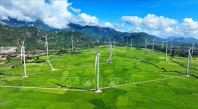 Cánh đồng điện gió của Công ty TNHH Điện Mặt Trời Trung Nam Thuận Nam ở xã Thuận Nam, tỉnh Khánh Hoà. Ảnh: Vũ Sinh – TTXVN