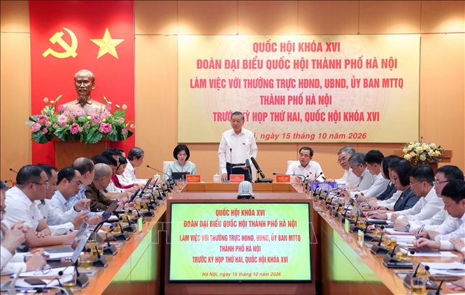 Tổng Bí thư, Chủ tịch nước Tô Lâm chủ trì buổi làm việc. Ảnh: Văn Điệp - TTXVN 
