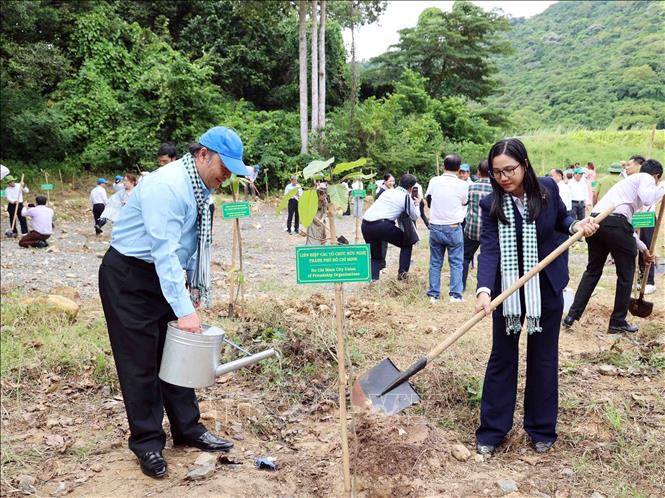 Lãnh đạo HUFO trồng cây tại 