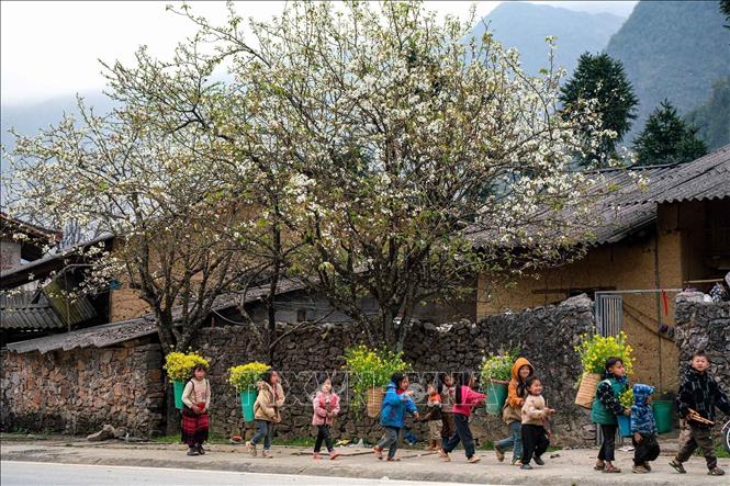 Cao nguyên đá Đồng Văn (Hà Giang) được UNESCO công nhận là Công viên địa chất toàn cầu vào ngày 03/10/2010, trở thành công viên địa chất toàn cầu đầu tiên của Việt Nam. Trong ảnh: Nét đẹp của con người kết hợp cảnh sắc của Cao nguyên đá Đồng Văn đã trở thành điểm du lịch thu hút du khách. Ảnh: Khánh Hoà - TTXVN 