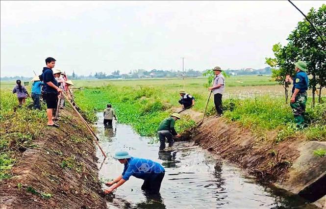 Ra quân vệ sinh môi trường. Ảnh: Công Tường-TTXVN