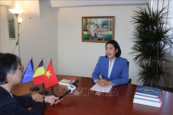 Đại sứ Việt Nam tại Vương quốc Bỉ, Trưởng Phái đoàn Việt Nam bên cạnh Liên minh châu Âu Nguyễn Hương Trà trả lời phỏng vấn TTXVN. Ảnh: Duy Tùng - PV TTXVN tại Bỉ