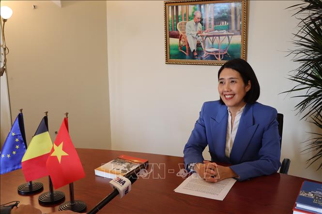 Đại sứ Việt Nam tại Vương quốc Bỉ, Trưởng Phái đoàn Việt Nam bên cạnh Liên minh châu Âu Nguyễn Hương Trà. Ảnh: Duy Tùng - PV TTXVN tại Bỉ