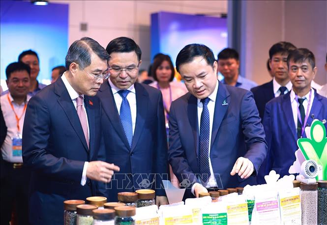 Thủ tướng Lê Minh Hưng tham quan các gian hàng trưng bày sản phẩm đạt Thương hiệu quốc gia. Ảnh: Dương Giang – TTXVN