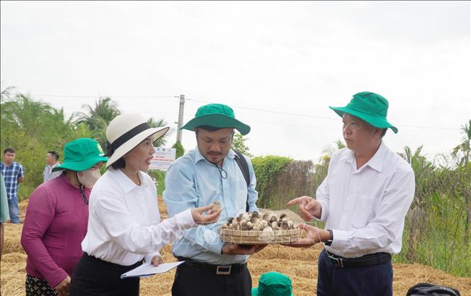 Phó Giám đốc Sở NN&MT An Giang Trần Thanh Hiệp (phải) tham quan mô hình trồng nấm rơm thuộc Dự án “Chuyển đổi chuỗi giá trị lúa gạo ứng phó với biến đổi khí hậu và phát triển bền vững khu vực ĐBSCL