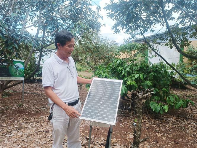 Những HTX đã chuẩn háo quy trình canh tác và truy xuất nguồn gốc sầu riêng như HTX dịch vụ Nông nghiệp sạch K'rông Pắk có lợi thế lớn về giá trị xuất khẩu sầu riêng. Ảnh: Kha Phạm - TTXVN 