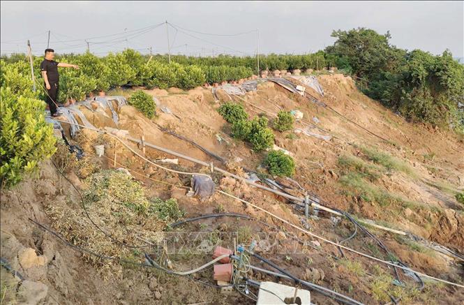 Khu vực sạt lở dài khoảng 187m, sâu khoảng 2-4m và chưa có dấu hiệu dừng lại. Ảnh Mạnh Khánh/TTXVN