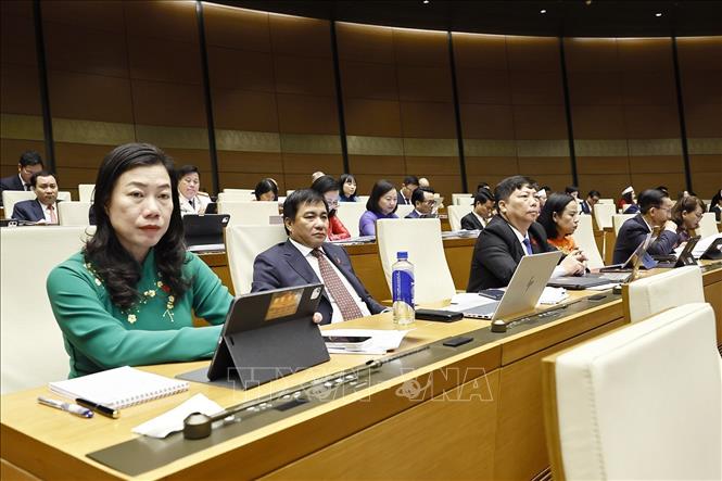 Đoàn đại biểu Quốc hội Thành phố Hồ Chí Minh dự khai mạc Kỳ họp thứ hai, Quốc hội khóa XVI. Ảnh: Doãn Tấn - TTXVN