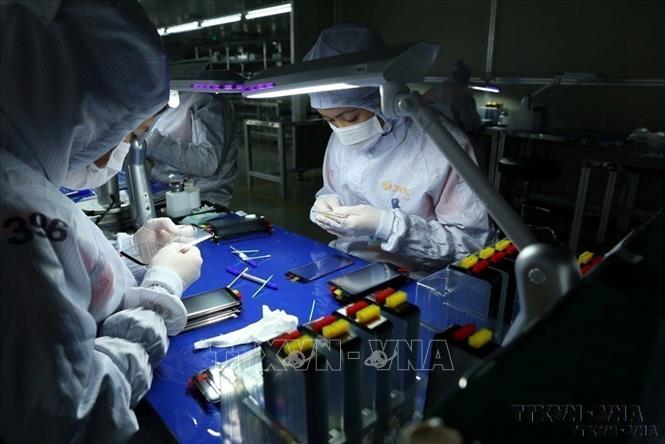 Nữ công nhân kiểm tra chất lượng sản phẩm màn hình cường lực điện thoại thông minh tại nhà máy của Công ty TNHH JNTC VINA, Phú Thọ (2018). Ảnh: Vũ Sinh - TTXVN