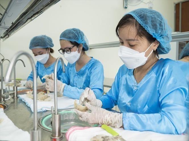 Câu lạc bộ 
