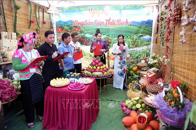 Thi trại Văn hóa của Ngày hội. Ảnh: Nguyễn Cường - TTXVN.  
