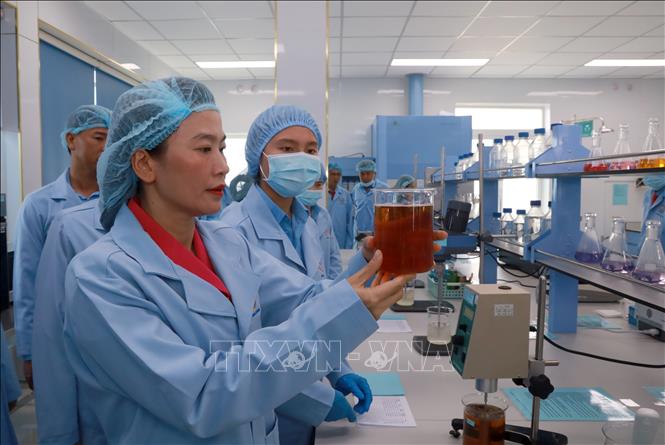 Bà Trịnh Thị Hồng Vân, Bí thư Đảng ủy, Chủ tịch Hội đồng thành viên Công ty TNHH Nhà nước Một thành viên Yến sào Khánh Hòa, trực tiếp tham gia hoạt động nghiên cứu khoa học. Ảnh: Xuân Triệu - TTXVN